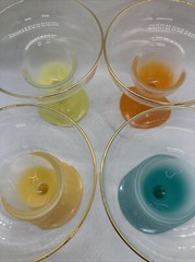(4) West Virginia BLENDO Pastel Frosted Ombre Margarita Dessert Cocktail Glasses