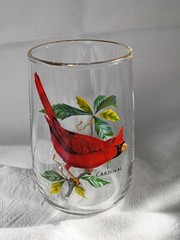 West Virginia Glass Speciality American Songbirds Pitcher Matching Glasses