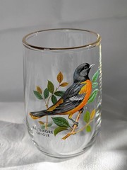 West Virginia Glass Speciality American Songbirds Pitcher Matching Glasses