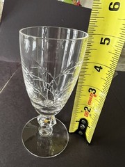 Tiffin Franciscan Princess Juice Coctail Iced Glass Floral Etched