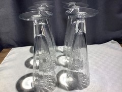 Champagne Sling Stemless Glass Pilsner Optic Etched Flowers Set of 6