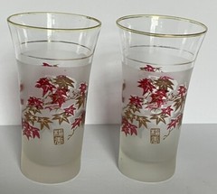 Vintage Frosted Floral and Gold Trim Set Of Two Cocktail Glasses 6 Ounce