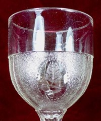 Beaded Acorn Medallion Goblet Adams & Co EAPG Clear Glass 1872 #141