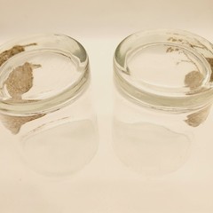 READ 2 WORN GEORGES BRIARD QUAIL PARTRIDGE SET OF LOW BALL GLASSES SIGNED MCM
