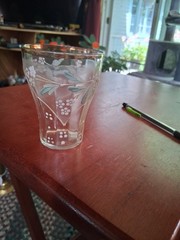 Victorian Art Glass Tumbler Clear Hand Painted Enamel Decor Gilded Rim (2890)