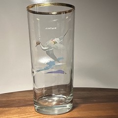 Waterfowl Highball Glass Set of 4 w/ Gold Rim – Decorative Multicolor Bird Theme