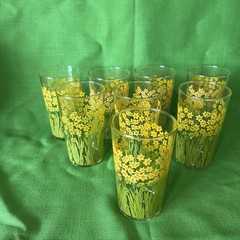 Jane Lynn Style Daffodil Garden 4.5” Retro Glasses Complete Set Of 8 VTG 70s MCM