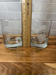 Set of 2 Rocks Glass Etched Frosted Pirate Faces Whiskey Rocks Glass