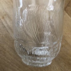 Vintage Luminarc Arcoroc Etched Lemonade Tumblers 8oz France