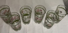 Set of 6 Portmeirion Botanic Garden Highball Glasses 16oz- Variety Of Designs