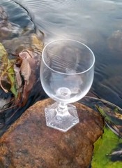 Set Of 2 «Maria» by Rosenthal Group Germany «Cassic Rose» Goblets