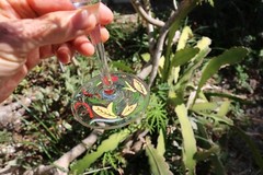 Pier 1 Carynthum Wine/Water Goblet (s) Glassware 9 » Autumn Colors Large Flower