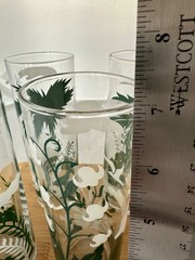 Set of 5 Vintage 7″ Libbey Tropical Tiki Palm Tree MCM Highball Glasses