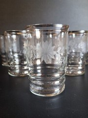 Floral Etched & Ribbed Juice Glasses With Silver Trim Set of 7