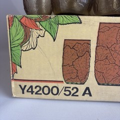 Vintage In Box Set Of 24 Anchor Hocking Sherwood Spicy Brown Leaf Juice Rocks