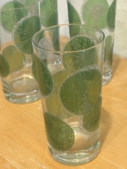 Vintage Fred Press Highball Glasses Raised Sugared Lime Slices Set of 5 Signed