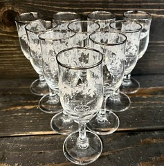 Johann Haviland Sweetheart Rose Cordial Wine Glasses Platinum Rim Set Of 10