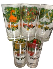12 Days Of Christmas Set Of 5 Holiday Drinking Glasses Vintage 1970-80’s Whimsy