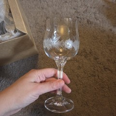 8 Brandy 8 Stemmed Wine Glass Bohemia Czech Crystal Etched Floral Diana 2000