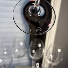 Elegant Set Of RONA Crystal Bordeaux Wine Glasses 9-1/4″ Tall Slovakia(7)