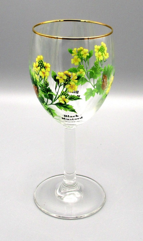 Royal Worcester WORCESTER HERBS Black Mustard Wine Glass Botanical & Gold Trim