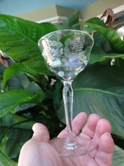 Unknown Maker Clear UNK7003 Optic Gray Cut Floral Facing Right Liquor Cocktail