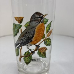 “Robin” Vintage 12oz Flat Tumbler By West Virginia Glass Specialty