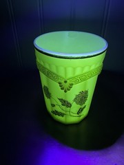 2 Northwood Chrysanthemum Sprig Custard Glass Tumblers Gold Gilt