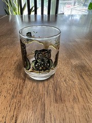 LIBBEY Vintage Owl Family Lowball Glass Raised Relief Design – Candle Holder