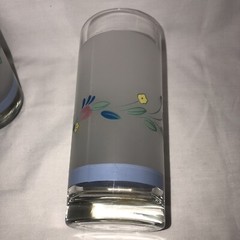 Floral Expressions Frosted Set of Two 16 oz. Glass Tumblers, By Hearthside