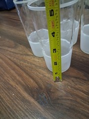4 Glass Tumblers With Flower Etching