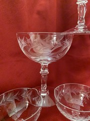 Fostoria Holly Clear Crystal Champagne/Tall Sherbet Glasses Set Of 6 Retired
