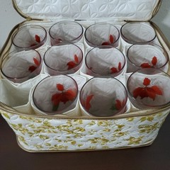 11 Vtg Mary Goertzen Block Pointsetta Glass Set Made In Portugal w Floral Case