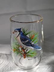 West Virginia Glass Speciality American Songbirds Pitcher Matching Glasses