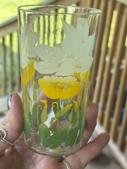 8 Vintage 4.75” ANCHOR HOCKING DAFFODIL Glasses,Yellow White Green Tumblers 8 Oz