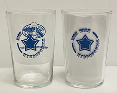 2 Maine Lakes Brewfest 2020/21 «the missed year» glasses highwire hydroponics.
