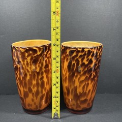 Beautiful Tortoise Shell Glass Tumblr Tall Drinking Glasses Set 2