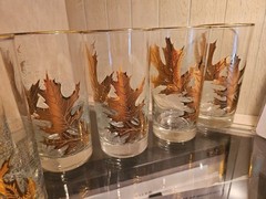 MCM Libbey Gold Leaf Embossed Oak Leaf Glasses Set Of 7