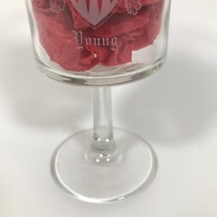 YOUNG Etched Coat Of Arms Family Crest 6.75in X 3.25in Wine Glass Water Goblet