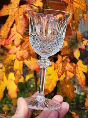 Wonderful FRENCH CRYSTAL ST. LOUIS 6 (SIX) GOBLETS 4 3/4″ in TOMMY Pattern.