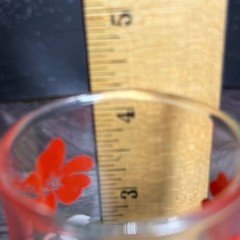 Vintage Hazel Atlas Red & White Floral Glass Tumbler Double Flower Red Green