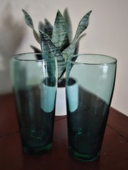 Cristar Bilbao Glass Tumblers Smokey Green Set Of (2) Vintage 16 Oz