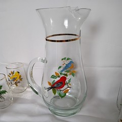 West Virginia Glass Speciality American Songbirds Pitcher Matching Glasses