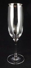 Nine Mikasa Stephanie Platinum Champagne Flutes – Excellent Condition