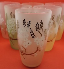 Vintage 1960s Set of 6 Libby Dogwood Frosted Glasses Painted Tumblers 5.5″ Tall