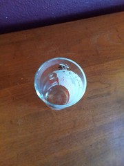 Vintage 1950’s/1960’s Square Dance Couple «do si do» Highball Cocktail Glass