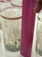 Debbie Mumm Garden Fence Tall Tumblers Acrylic Set Of 6 Sakura Evolution