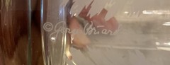 Georges Briard Frosted Etched Pine Tree Double Old Fashion Glasses Set Of 4 VTG