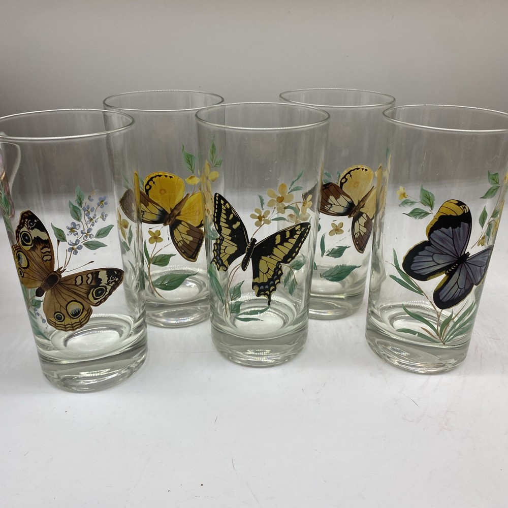 Vintage Mid Century Butterfly Wildflower Glasses Set 5 (12 Oz)