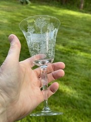 6 Morgantown Mayfair Etch 10oz Water Goblets Vintage Floral Optic Florentine